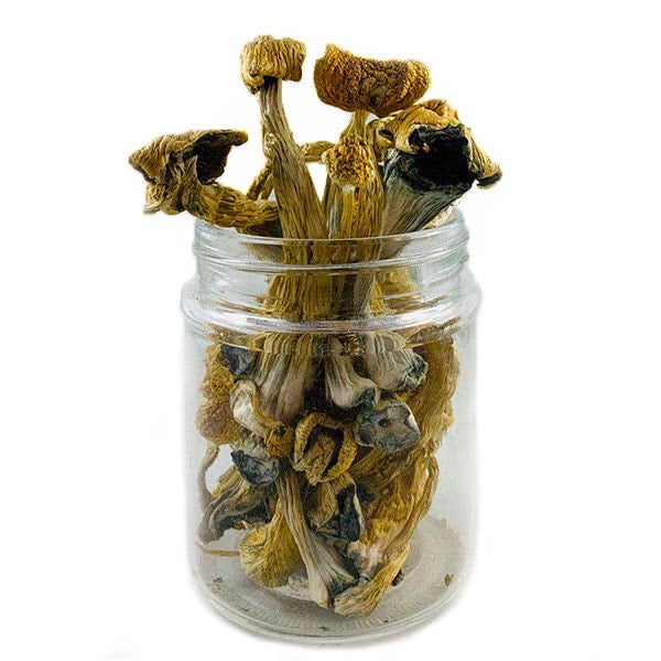 Cuban Mushrooms
