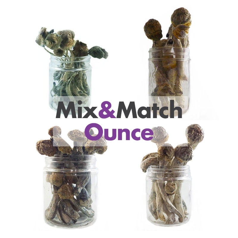 Mix And Match Magic Mushroom Ounces