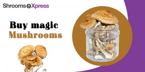 What do you know about the use of magic mushrooms for depression?