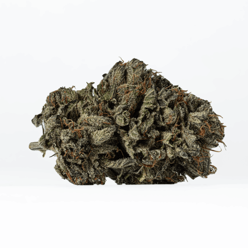 Gas Daddy (AAAA) - Image 2