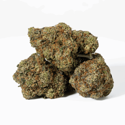 Gorilla Pink (AAA+)