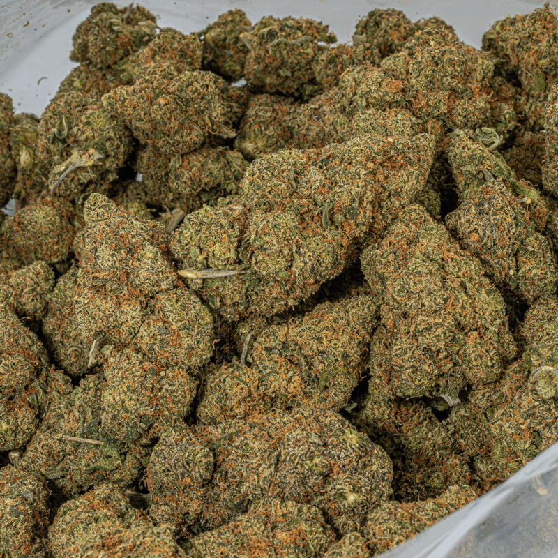 Lime Chernobyl (AAA) - Image 4