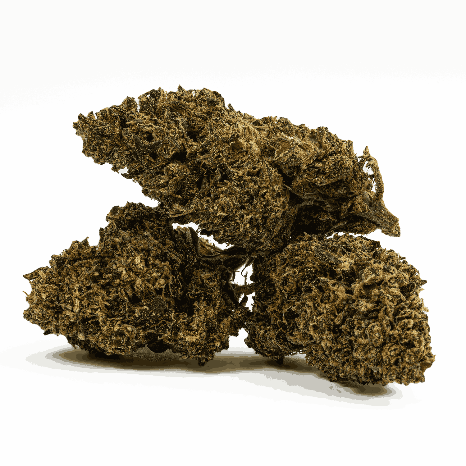 Jean Guy (AA) - Image 2