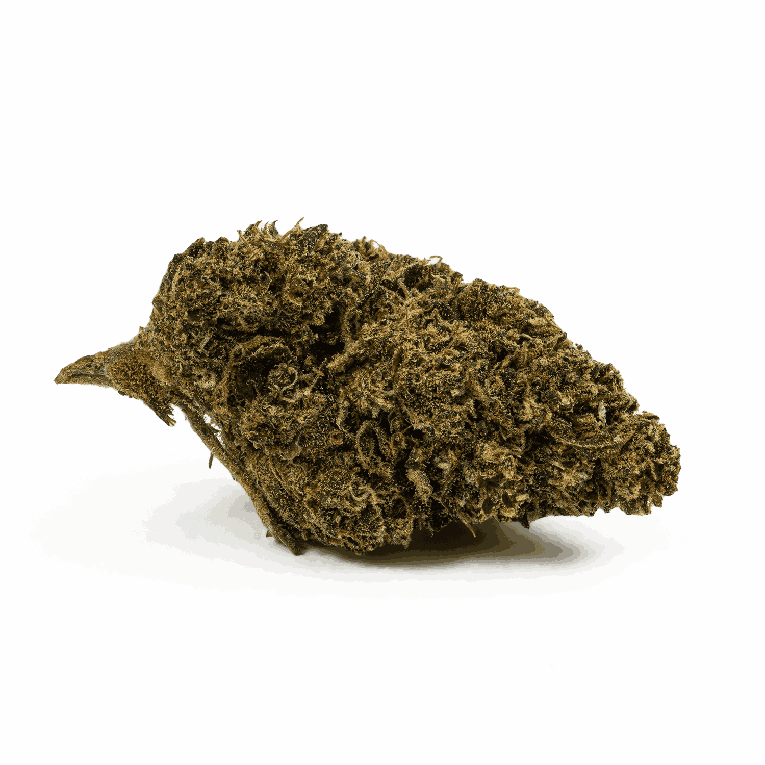 Jean Guy (AA) - Image 3