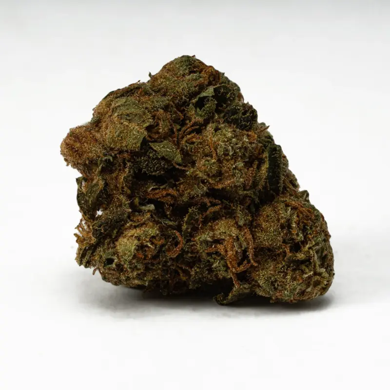 Lagoon (A) - Image 5
