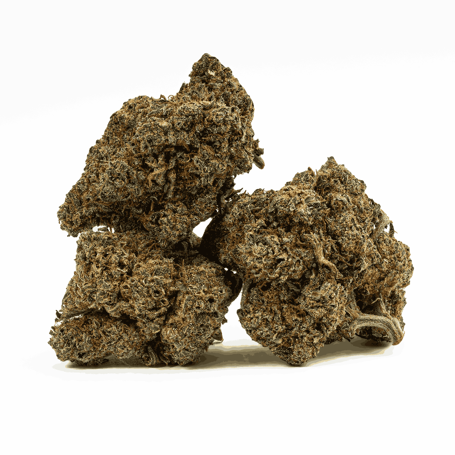 Milk Bone (AAA+) - Image 2