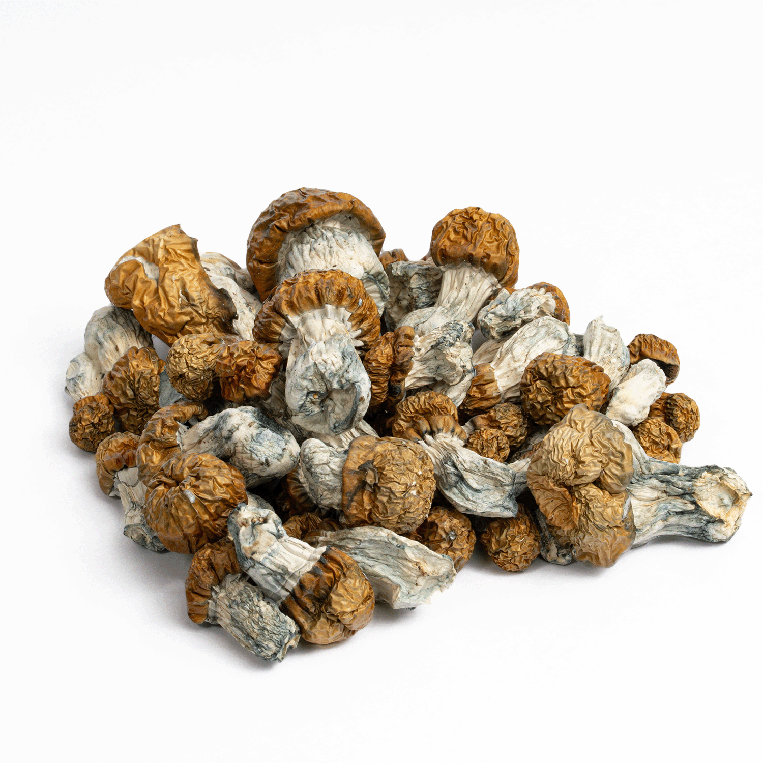 Avalanche Mushrooms - Image 3