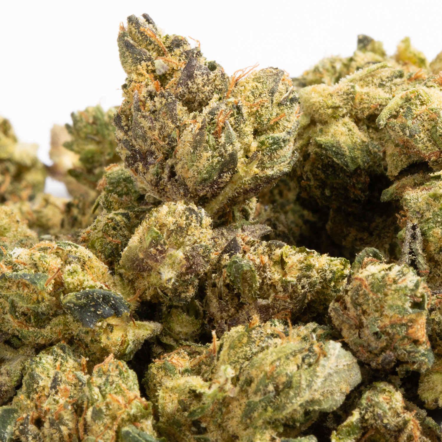 Bakerstreet Smalls (AA+) - Image 2