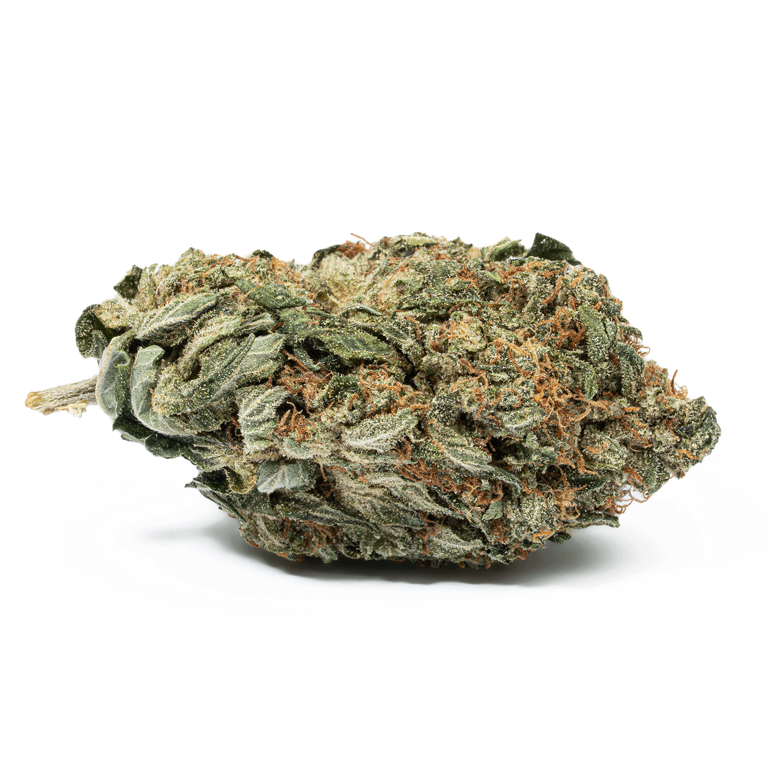 Glue Dream (AA) - Image 3