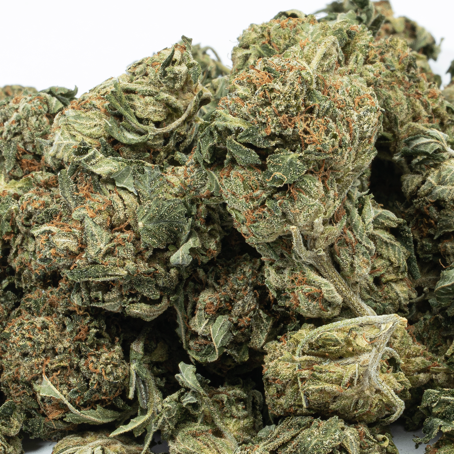 Glue Dream (AA) - Image 2