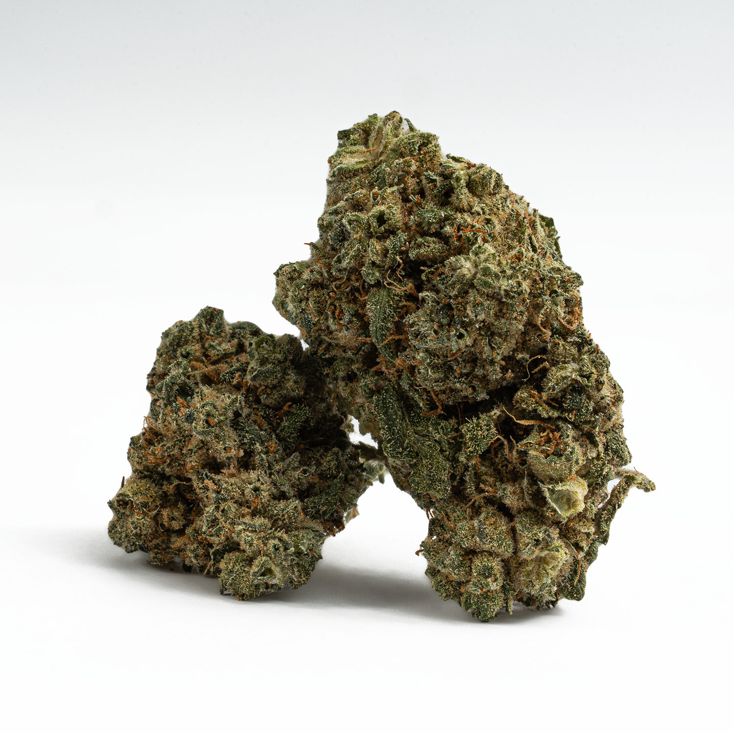 Mochi (AAA) - Image 4