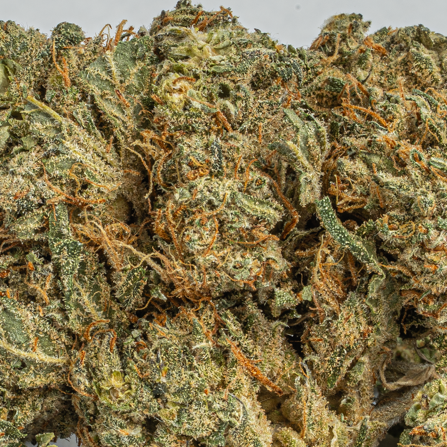 Mochi (AAA) - Image 2