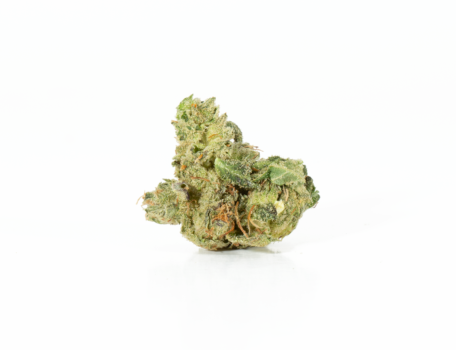 Primus (AAA+) - Image 2