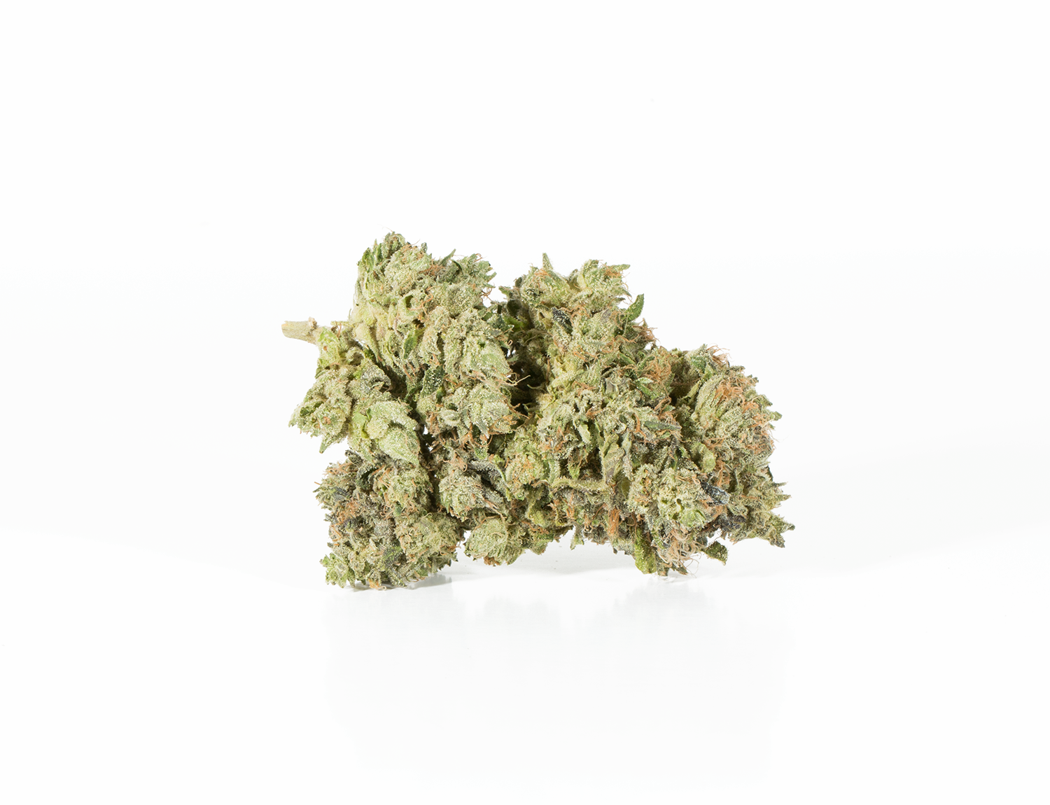 Primus (AAA+) - Image 3