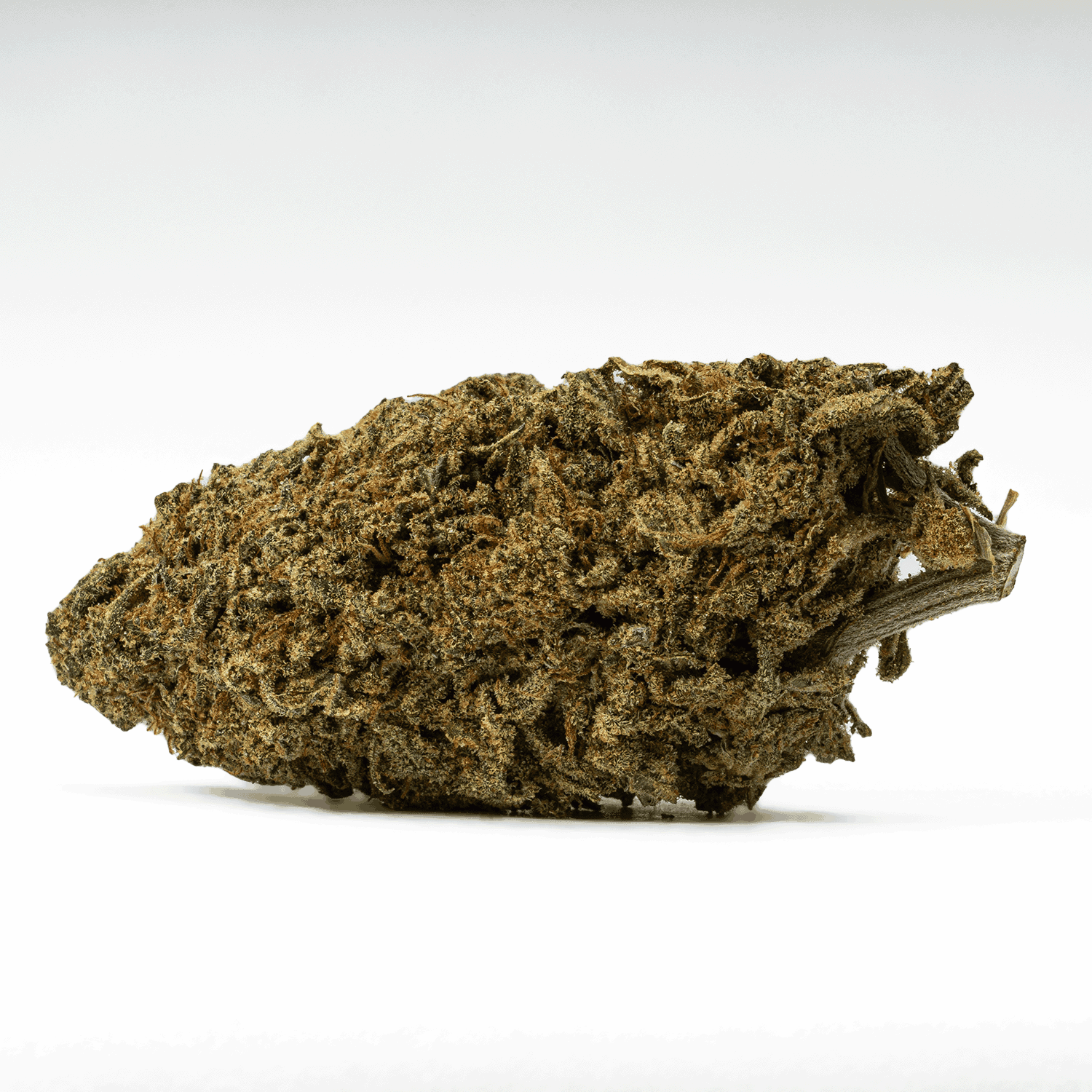 Alaskan Thunder Fuck (AA+) - Image 3
