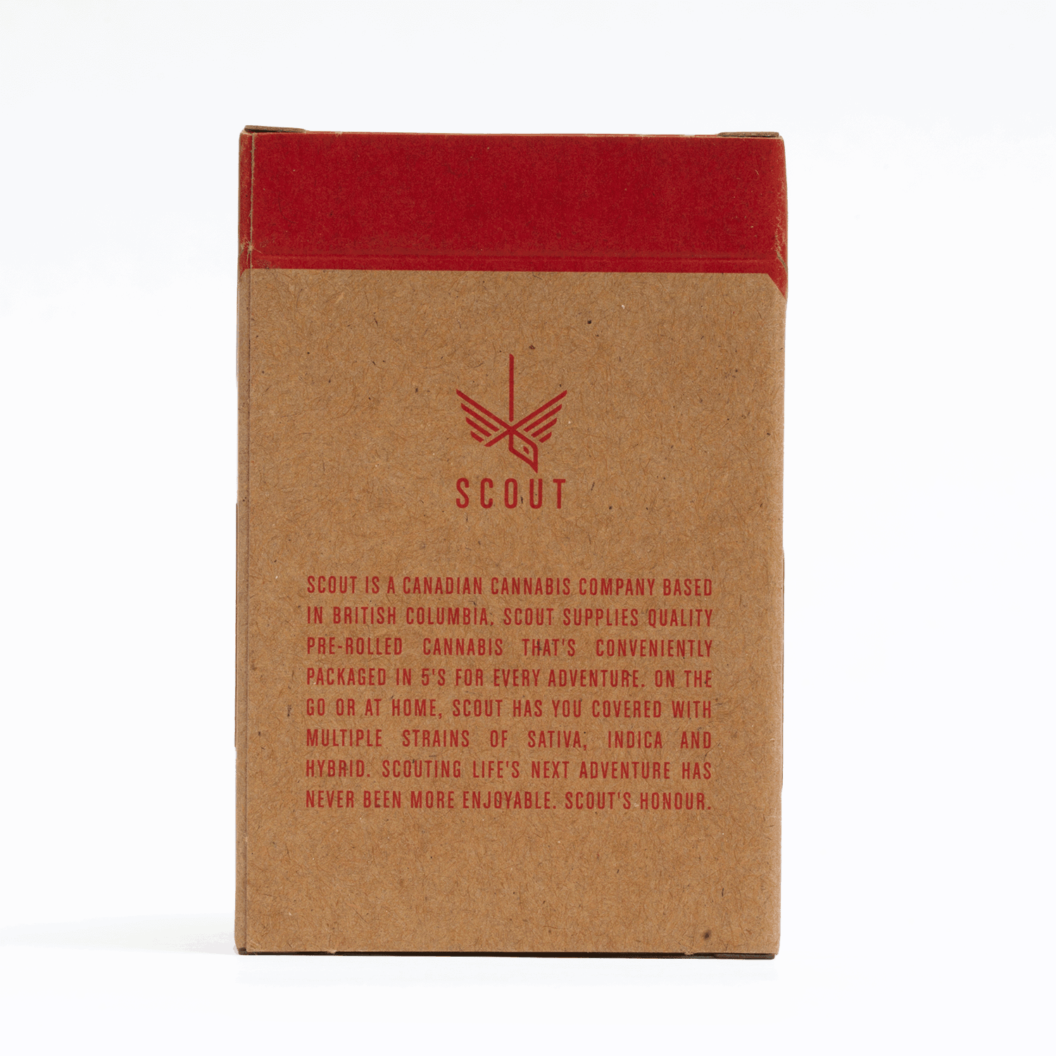 Scout - 5 Pack Pre-Rolls (0.5g) - CBD - Image 4