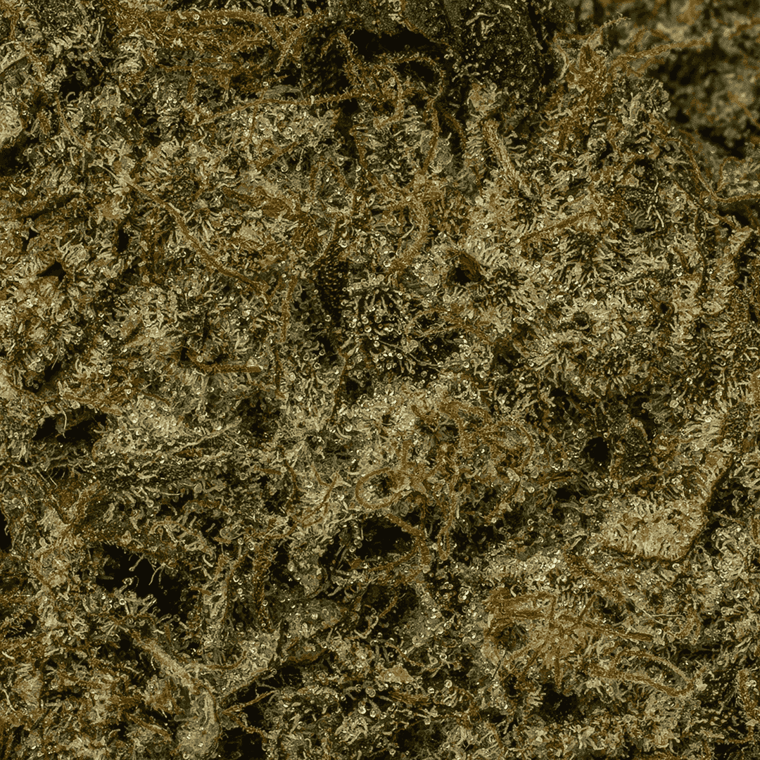 Super Bubba (Craft) - Image 5