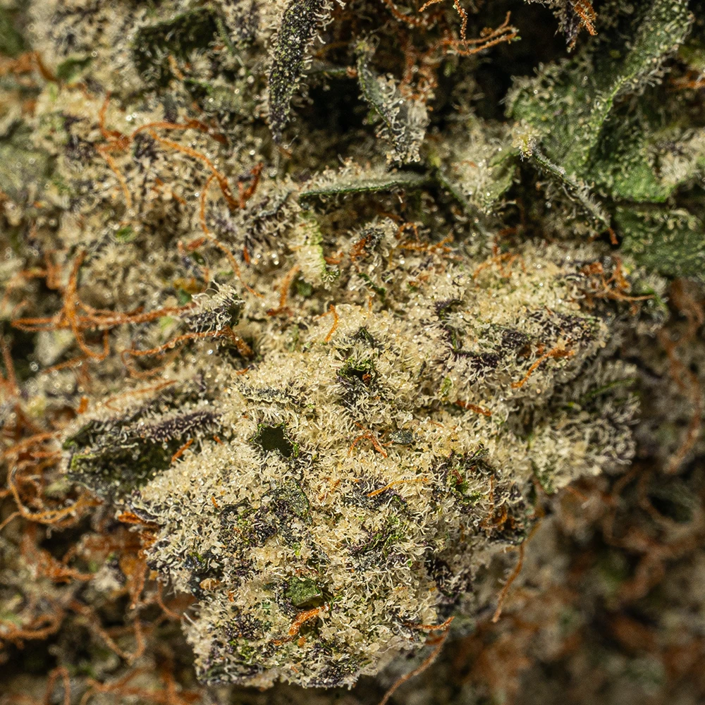 Donkey Butter (AAAA+) - Image 4