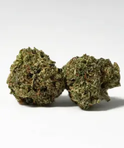 Gelato Smalls (AAA+)