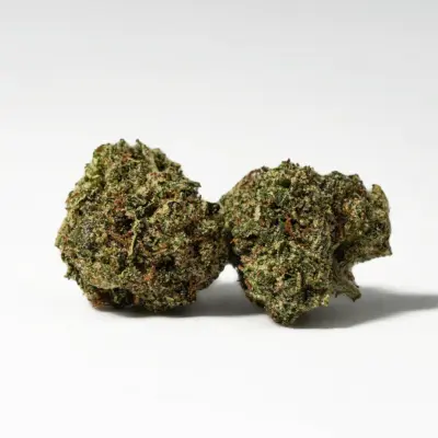 Gelato Smalls (AAA+)