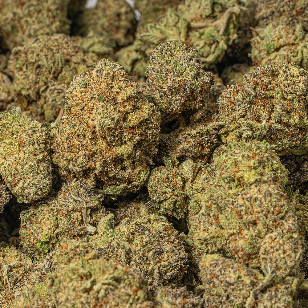 Gorilla Glue (AAA+) - Image 5