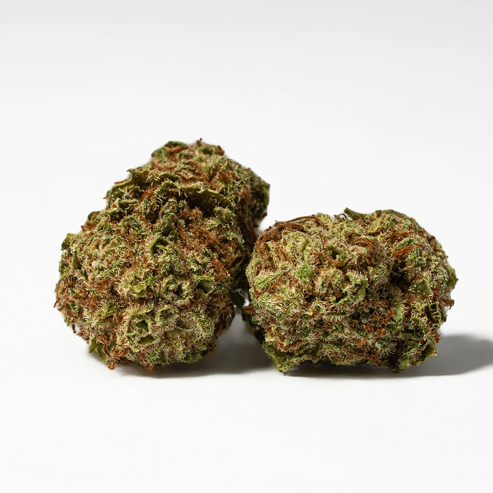 Raspberry Parfait Smalls (AA)