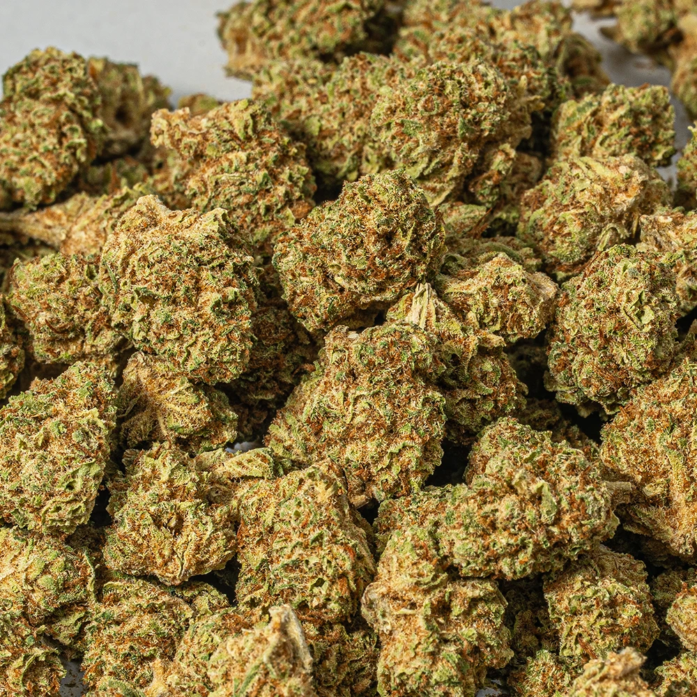 Raspberry Parfait Smalls (AA) - Image 4