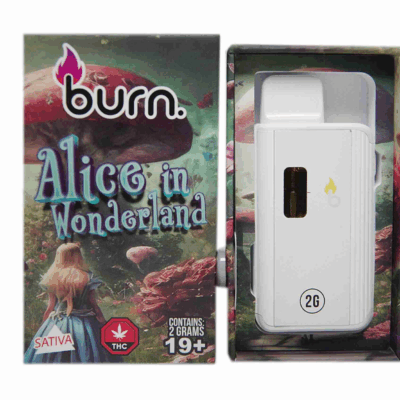 Burn Disposable Vape (2g) - Alice in Wonderland (Hybrid)