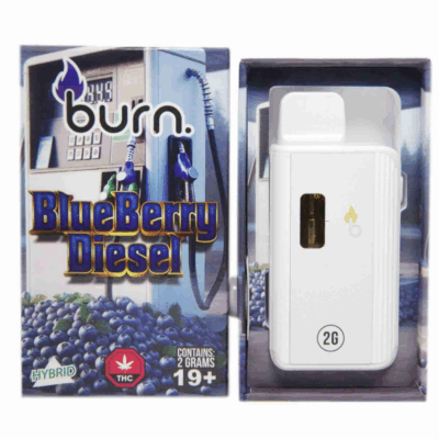 Burn Disposable Vape (2g) - Blueberry Diesel (Hybrid)