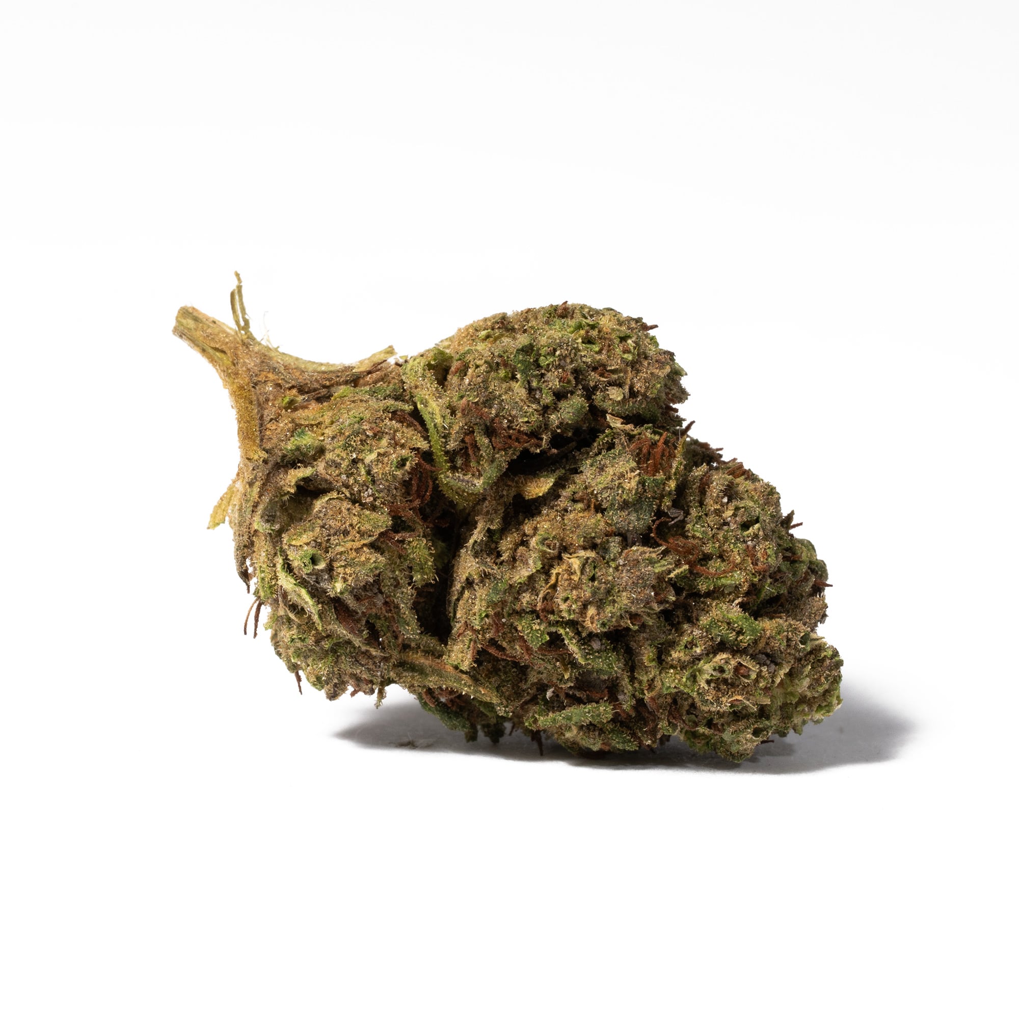 Bruce Banner (AA) - Image 2