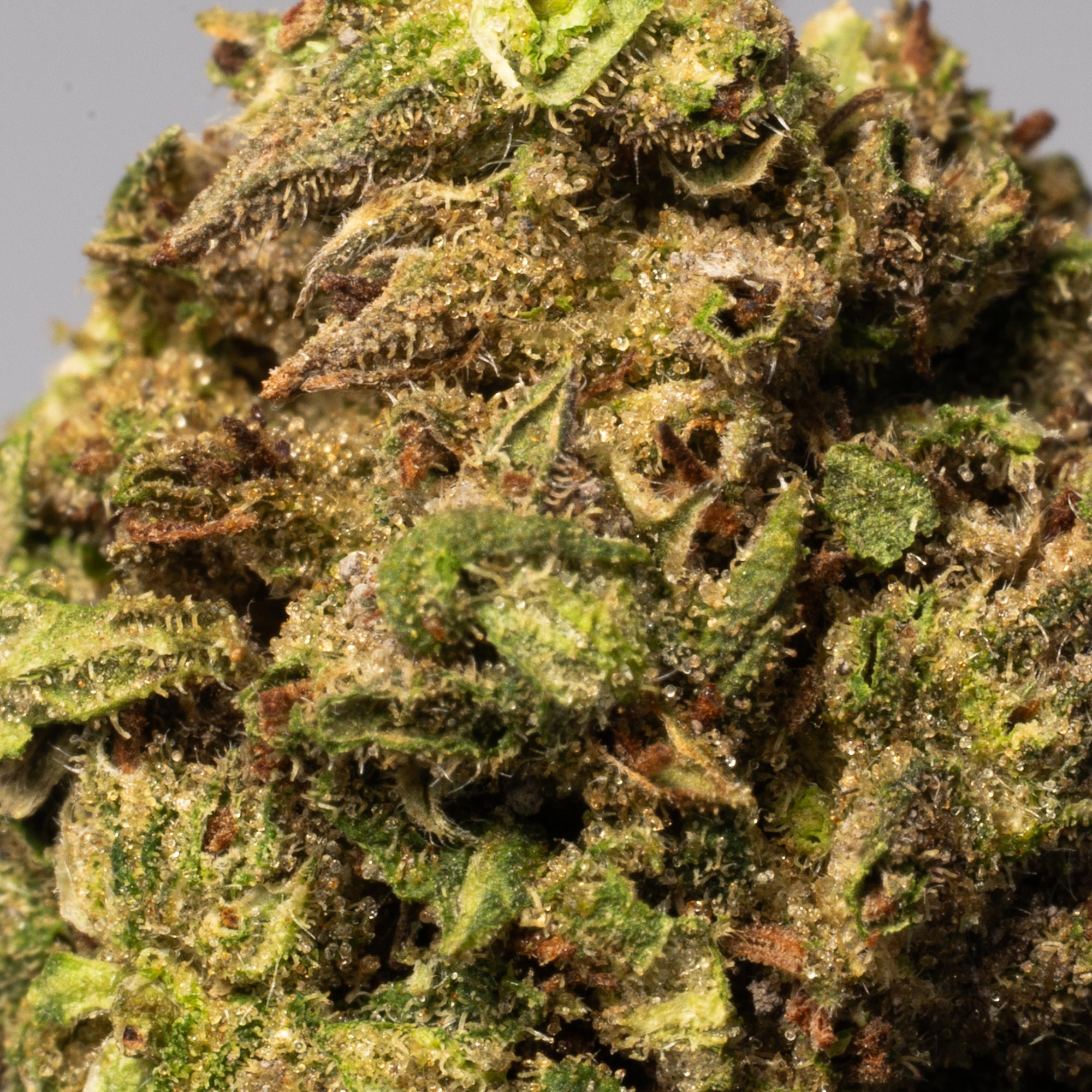 Bruce Banner (AA) - Image 5