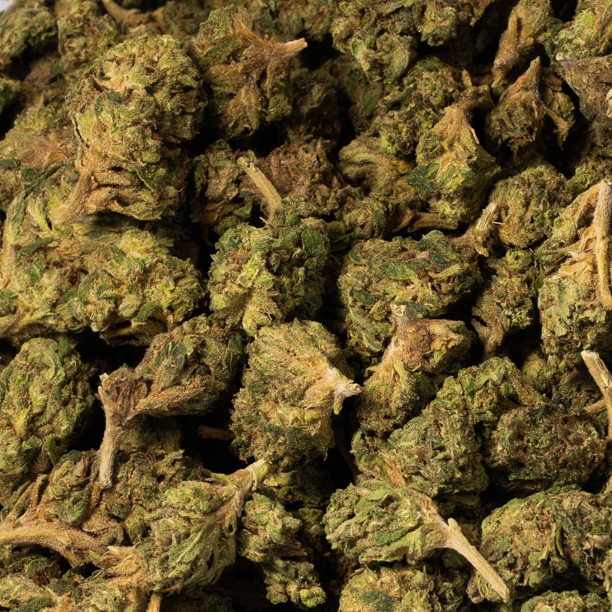 Bruce Banner (AA) - Image 4