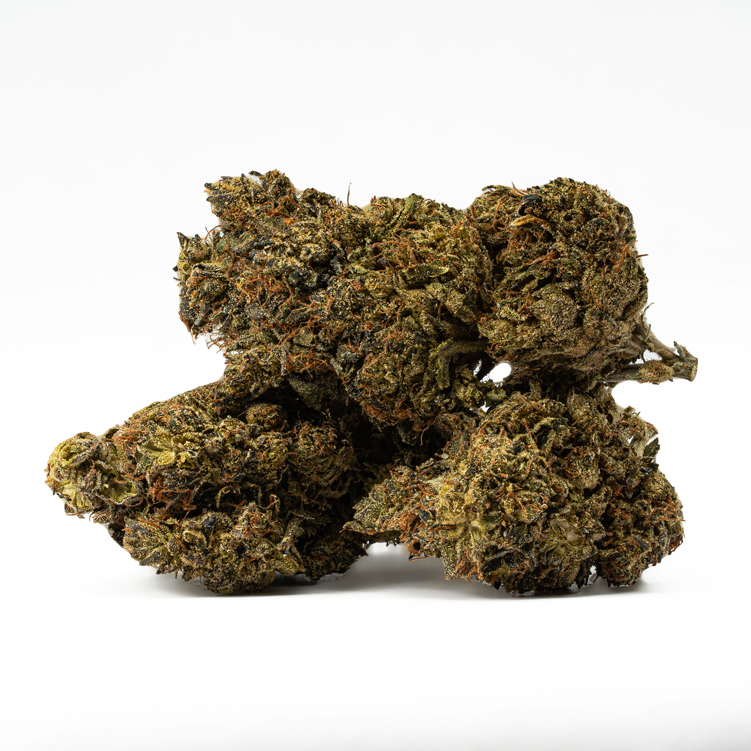 Black Jesus (AA) - Image 2