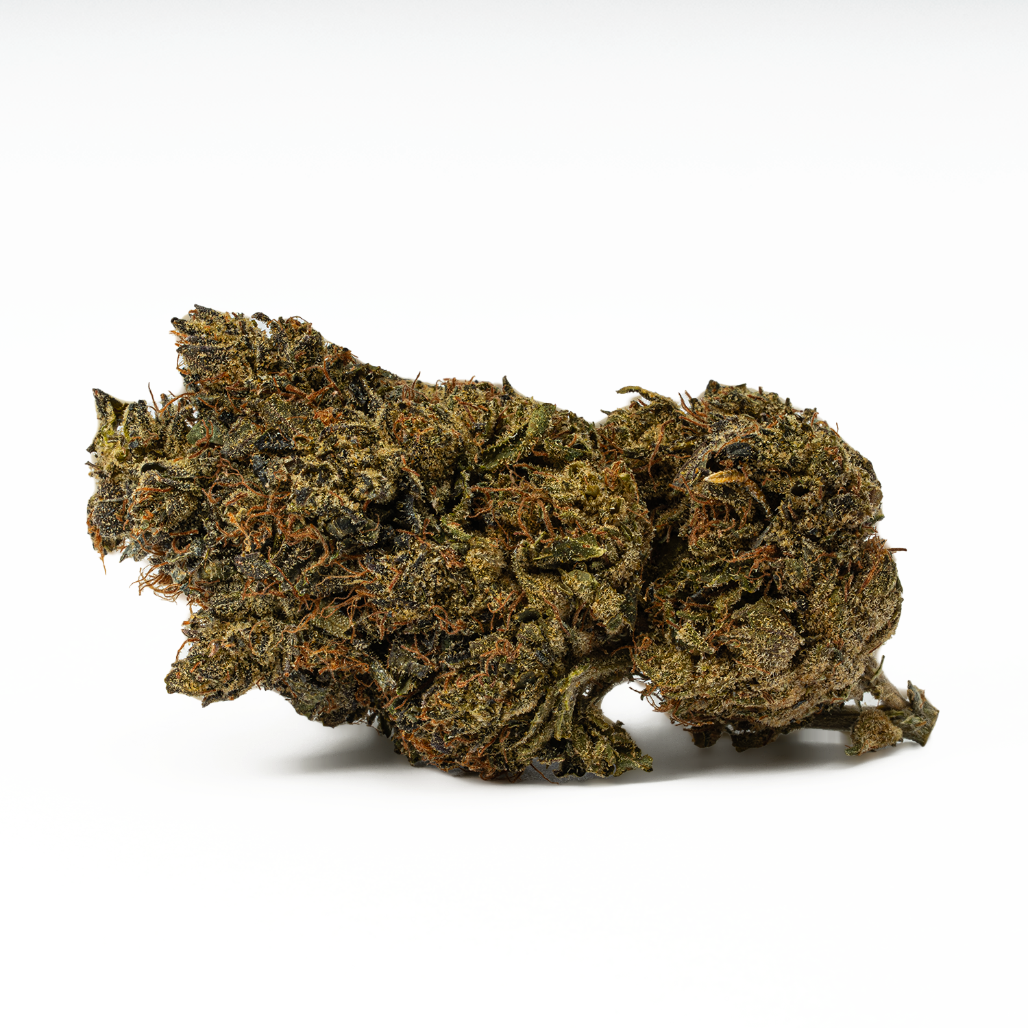 Black Jesus (AA) - Image 3