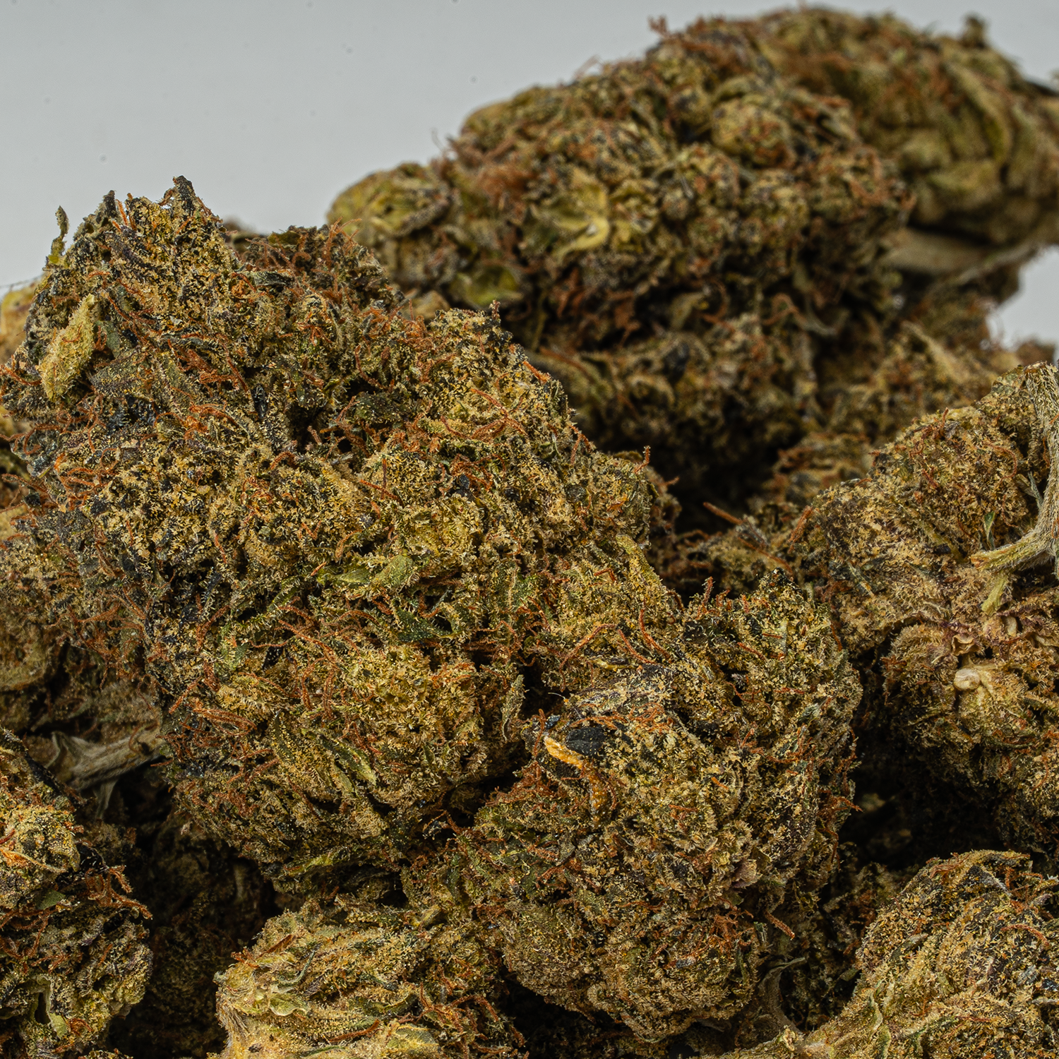 Black Jesus (AA) - Image 5