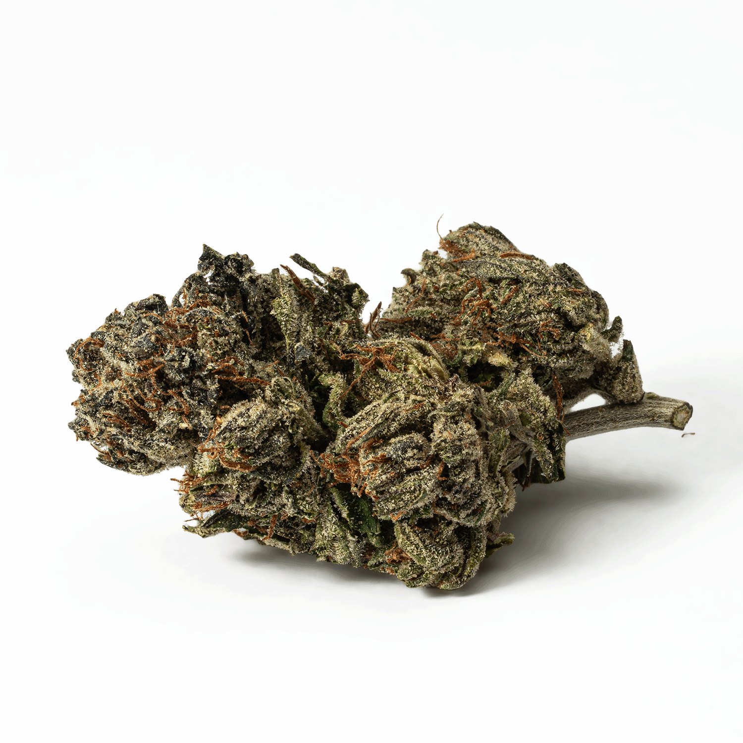 El Chivo (AA+) - Image 3