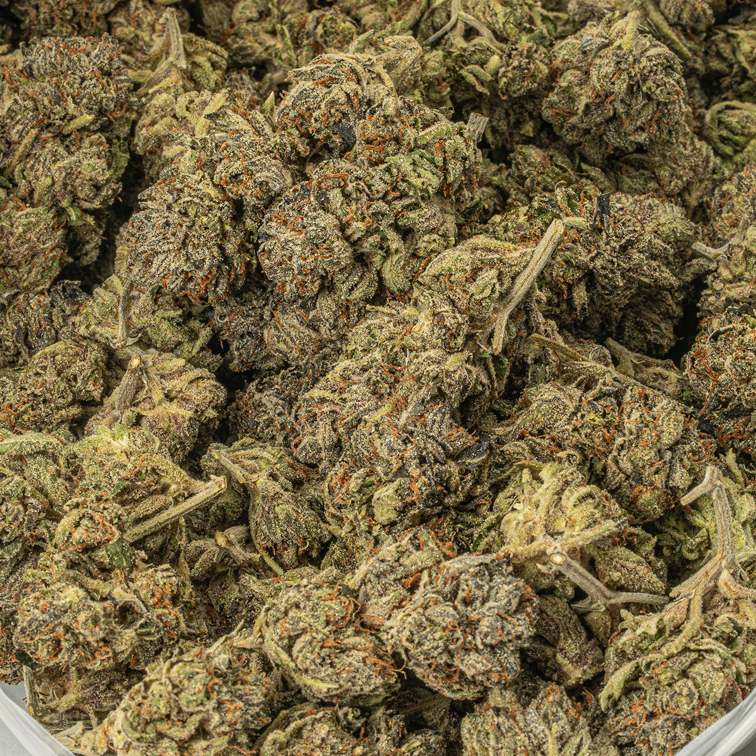 El Chivo (AA+) - Image 5