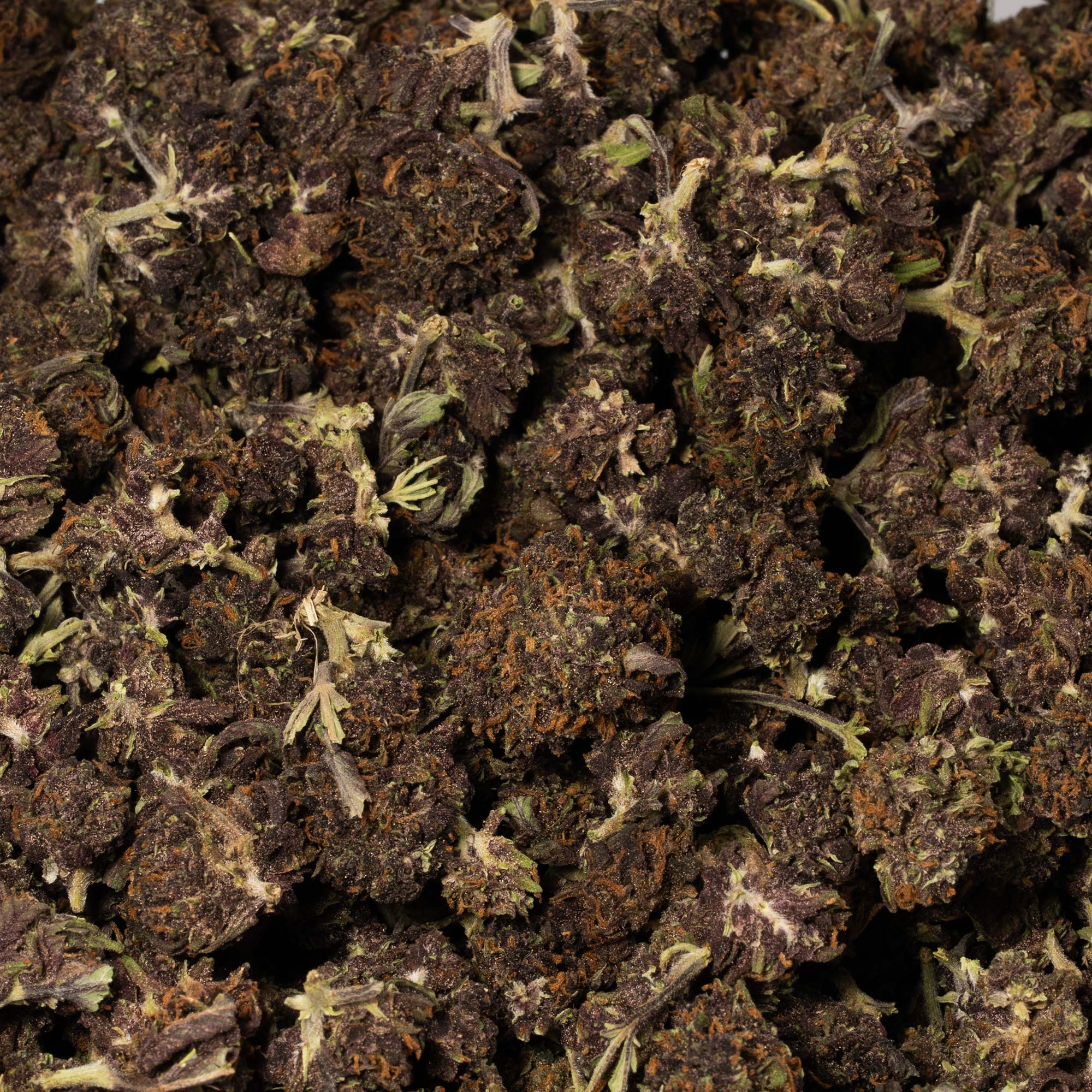 Purple Kush (AA) Promo - Image 4