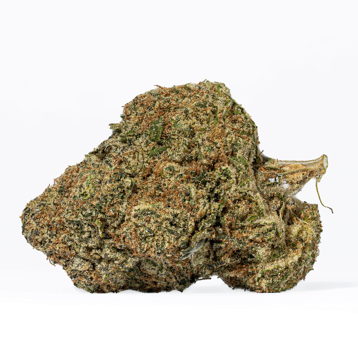 Purple Punch (AA) - Image 3