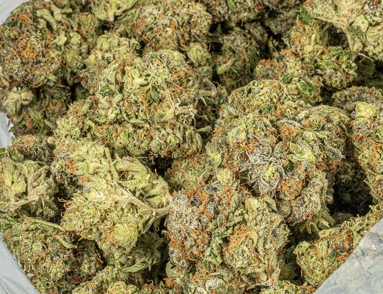 Georgia Pine (AA+) - Image 4