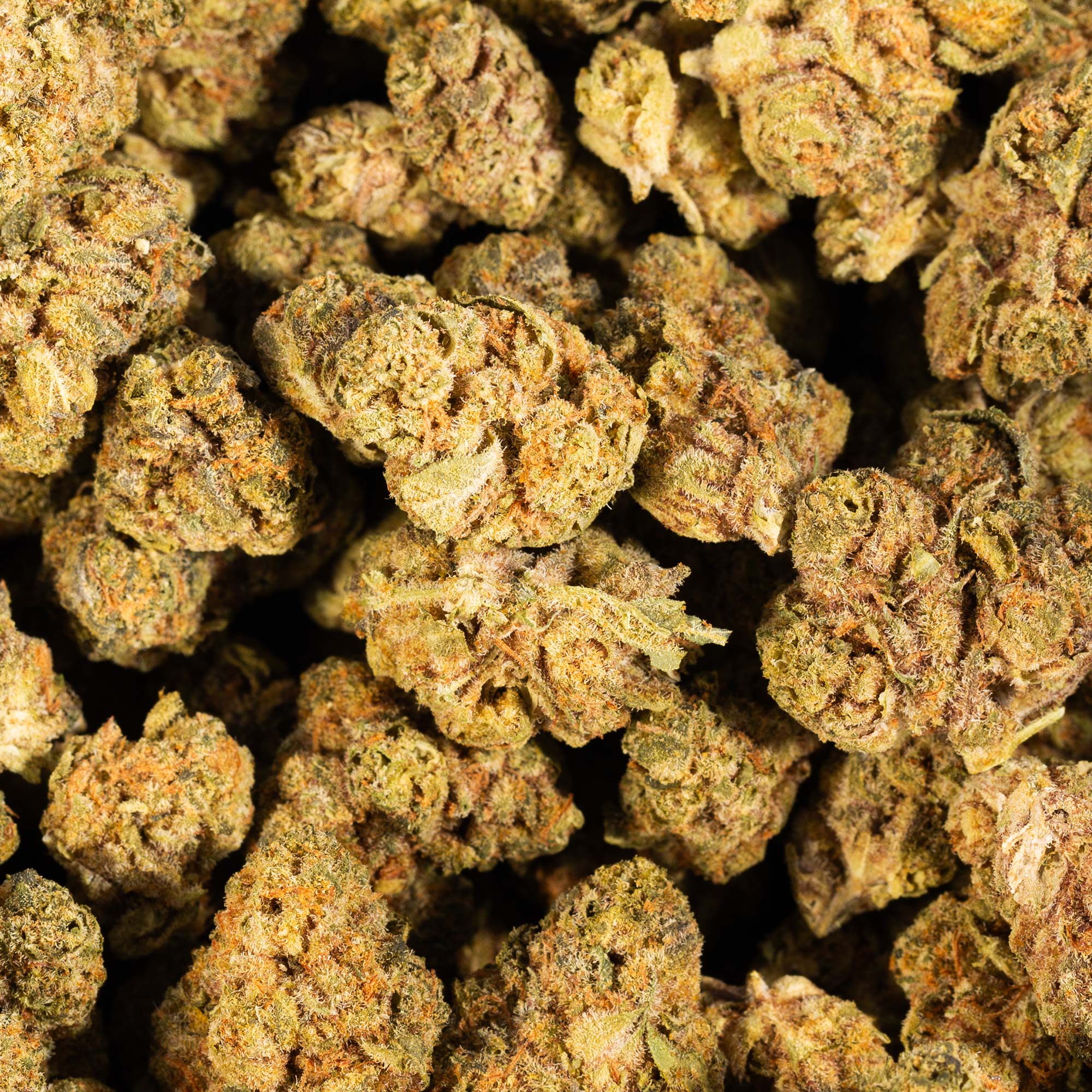 Jet Fuel Smalls (AA) - Image 5