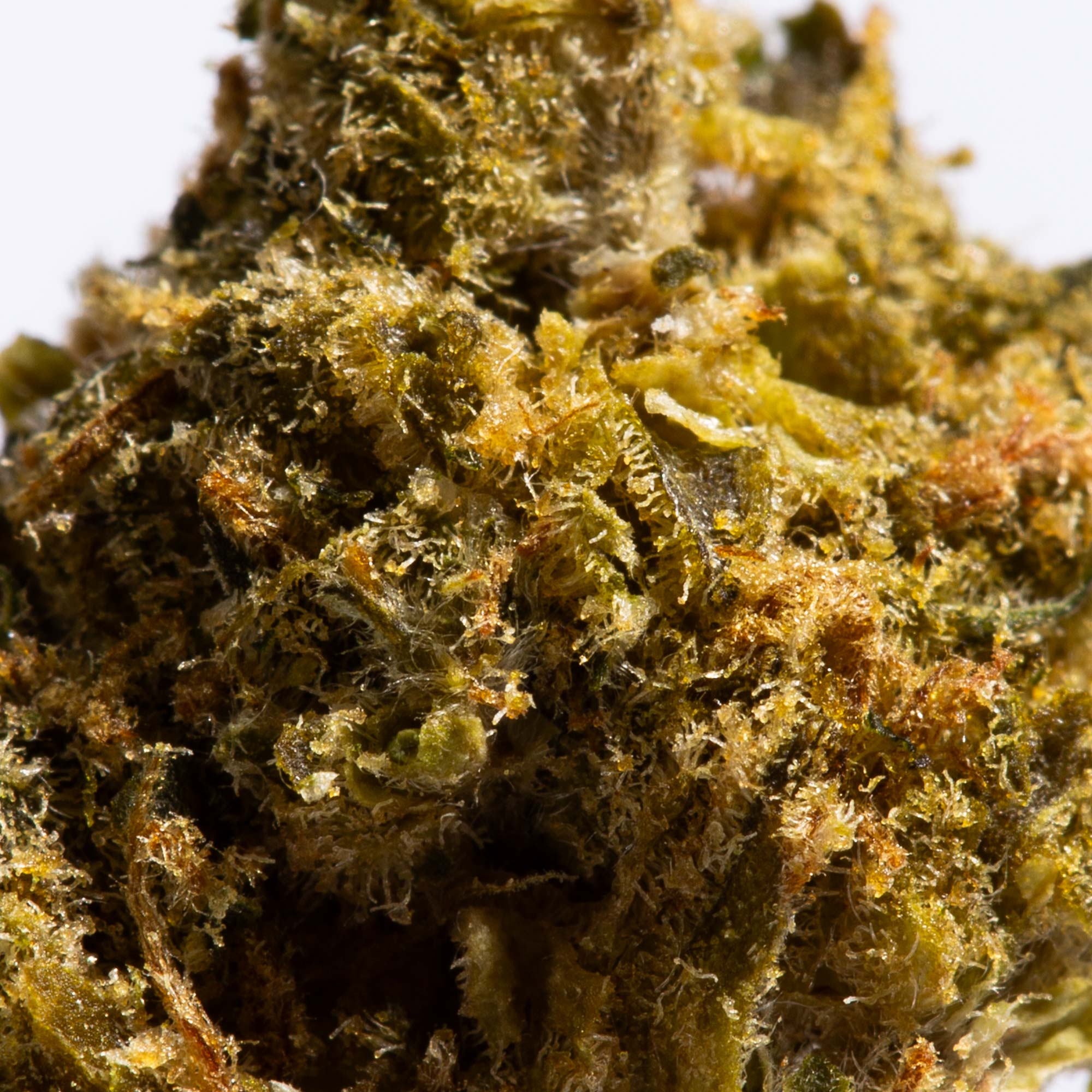 Larry OG Smalls (AA) - Image 4