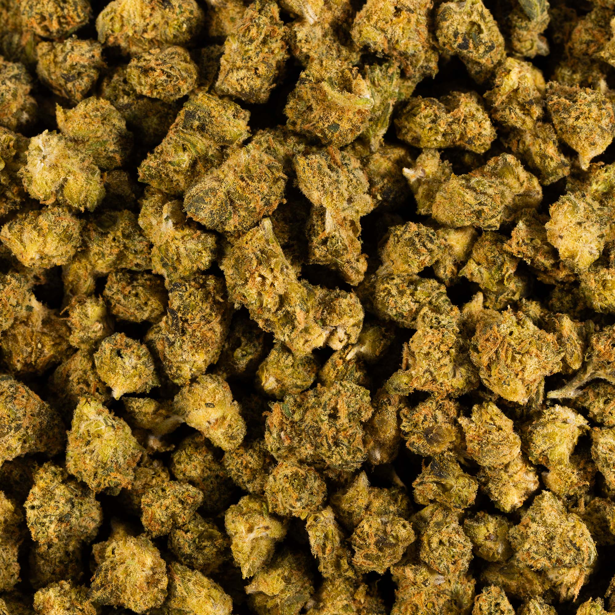 Larry OG Smalls (AA) - Image 5