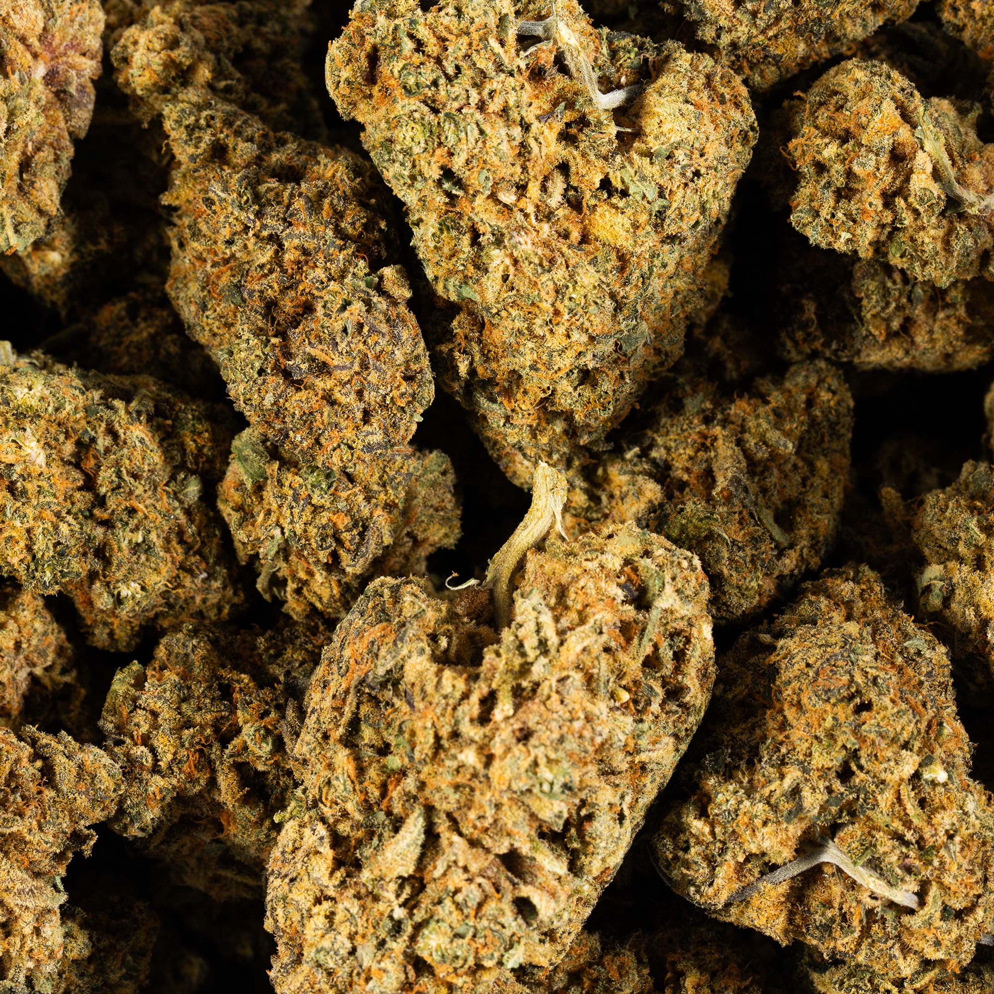 Orange Mints (AA+) - Image 5