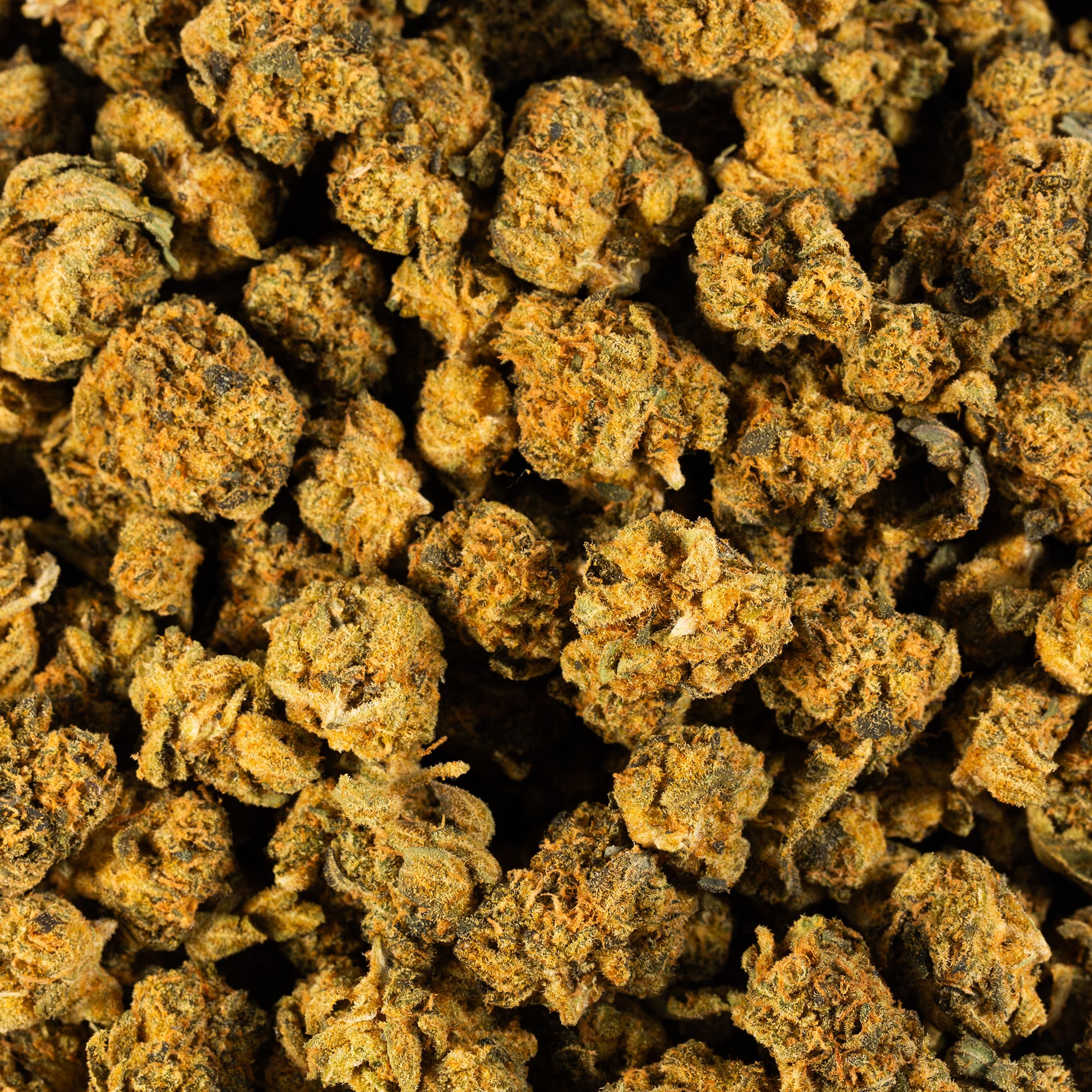 Red Velvet Smalls (AA) - Image 5