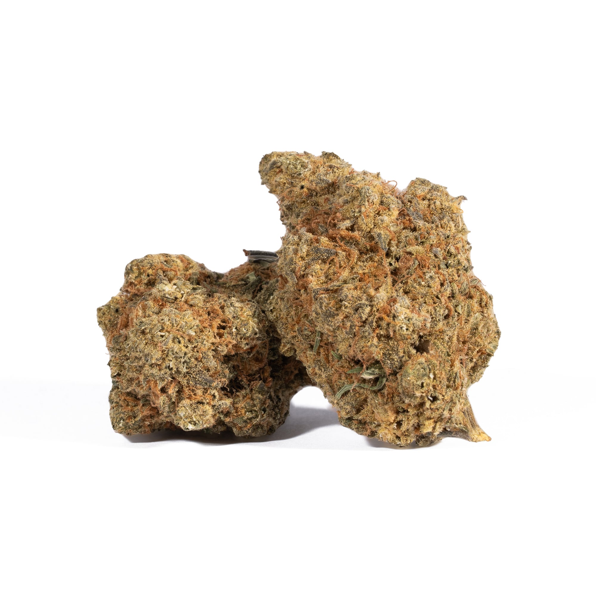 Afghan Hawaiian (AA)
