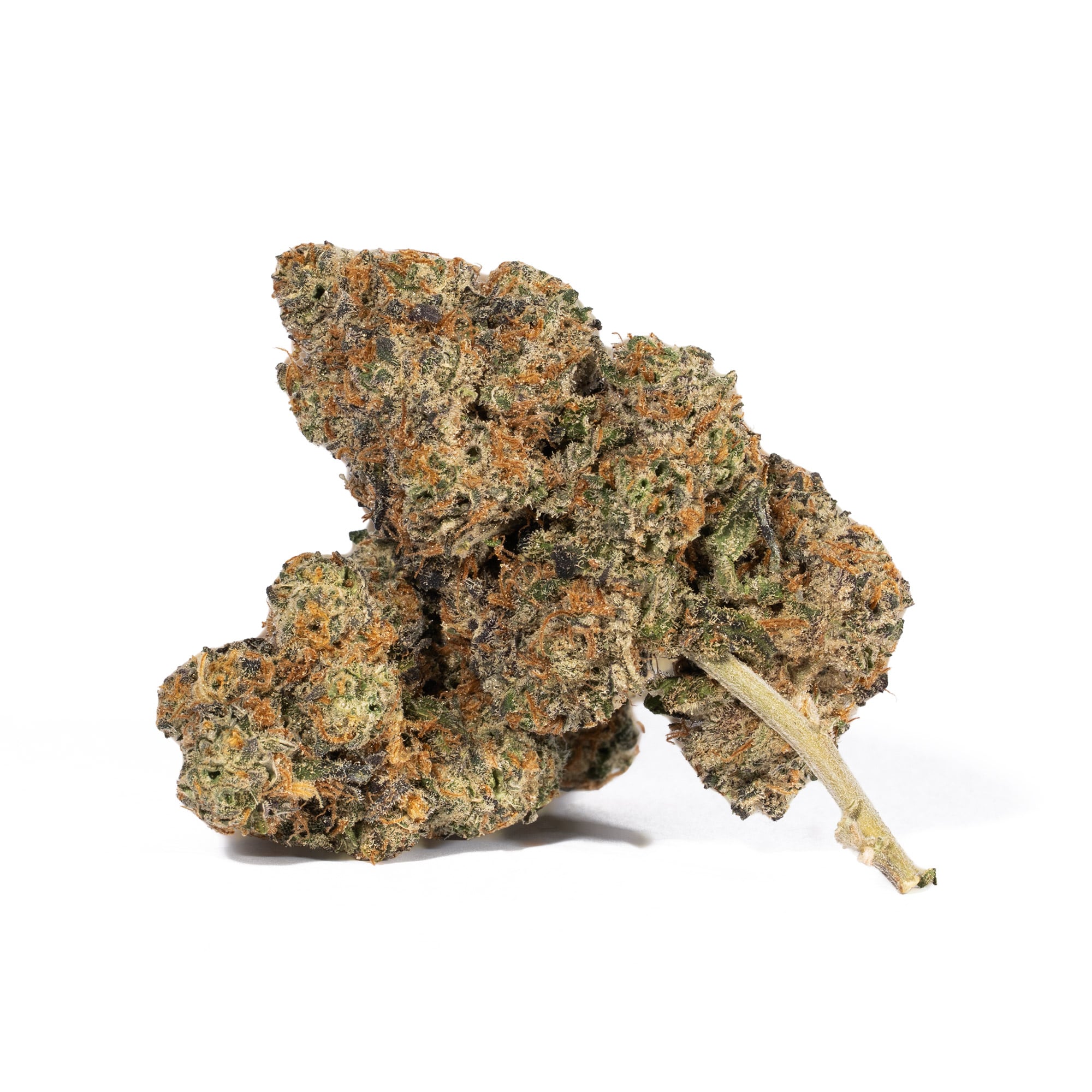 Animal Cookies (AAA)
