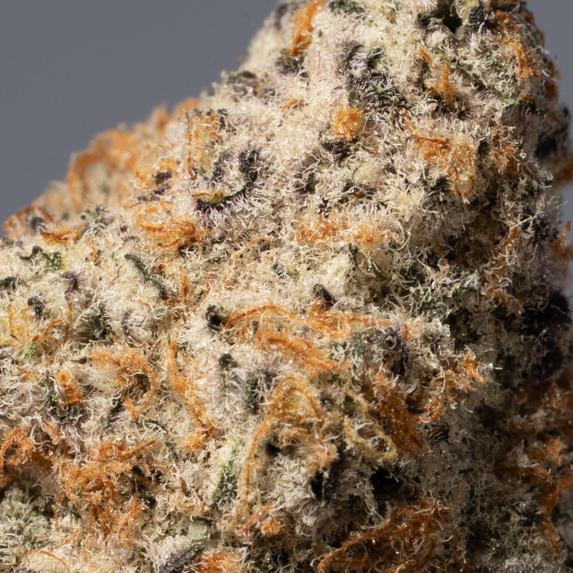 Critical Mass (AAA+) - Image 5