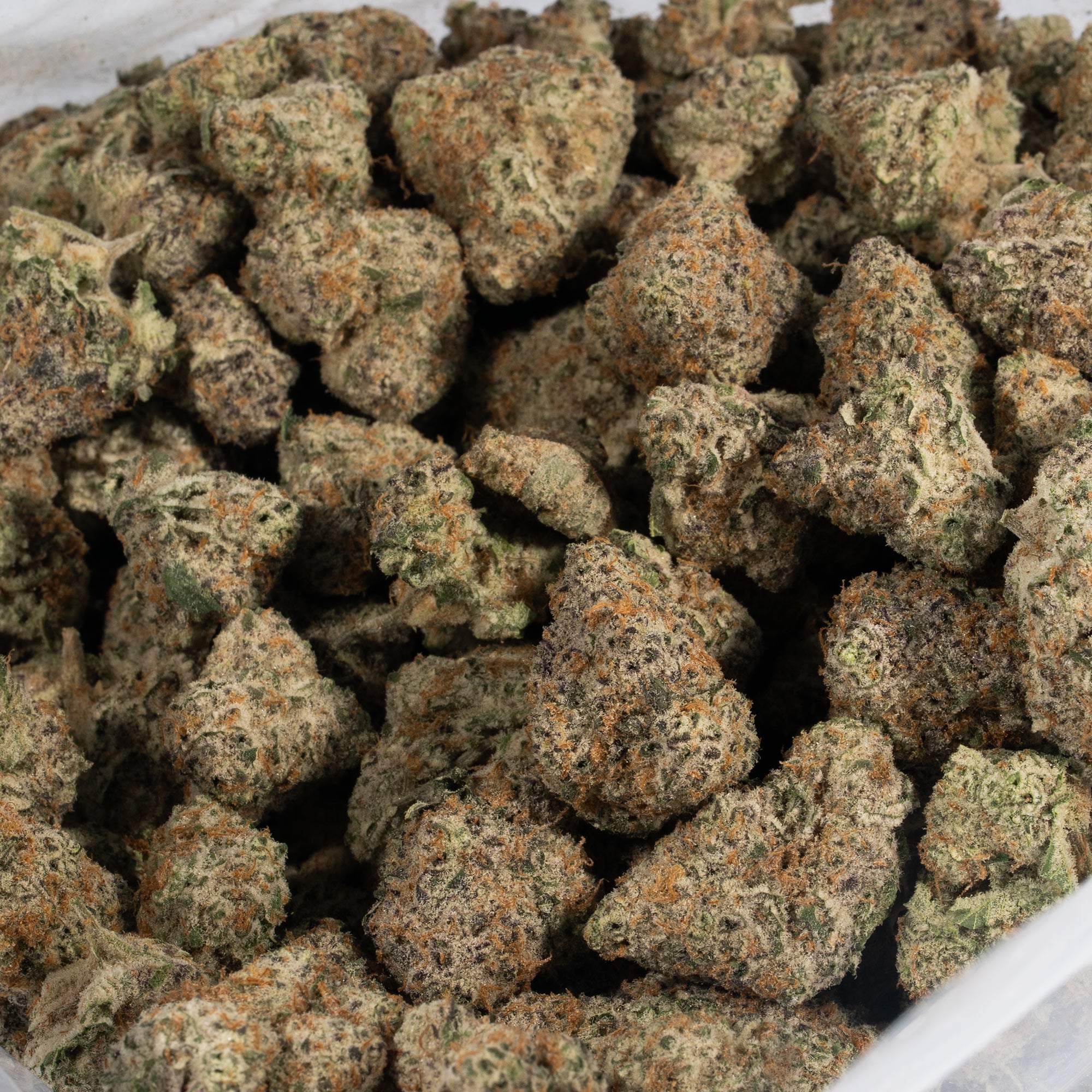 Critical Mass (AAA+) - Image 4