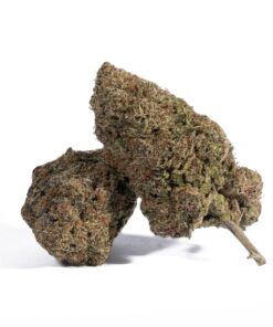 Dank Sinatra (AAA+)